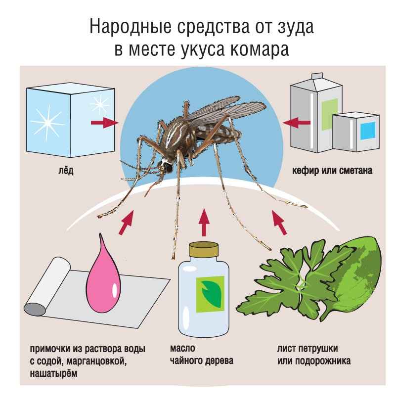 На фото описано про средства от зуба после укуса комаров